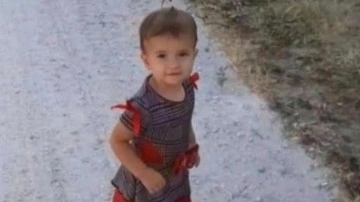2 yaşındaki Hayrunnisa'nın acı ölümü! Babasının kullandığı traktörün altında kaldı!
