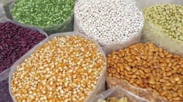 2025 Hububat fiyatları belli oldu! İşte güncel fiyatları