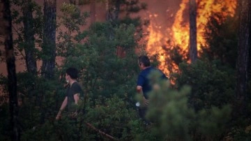 3 il alev ale yanıyor! Gözaltılar var... İşte yangınlarla ilgili son durum