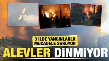 3 il alev alev yanıyor! Gözaltılar var... İşte yangınlarla ilgili son durum