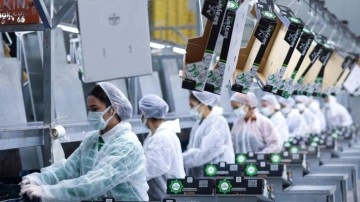 36 senelik meyve-sebze firmasından kötü haber! Konkordato ilan etti