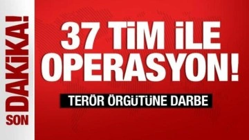 37 TİM sahaya indi! Terör örgütüne operasyon...