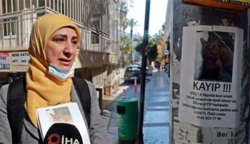 4 ay &ouml;nce kaybolan &ouml;l&uuml;mc&uuml;l hasta kedisini sokak sokak arıyor