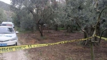 4 &ccedil;ocuk babası, zeytinlikte &ouml;l&uuml; bulundu