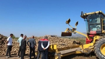 450 bin tonluk hasat bekleniyor! Pancar üretiminde son durum