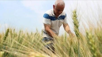 5,5 milyar liralık tarım desteği bugün çiftçilerin hesabına yatırılacak!