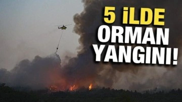 5 ilde orman yangını: Müdahaleler sürüyor, işte son durum!