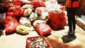5 ton yakalandı! Hepsini vatandaşa yedireceklerdi...