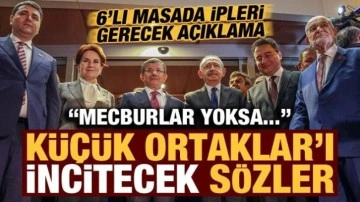 6'lı masayı karıştıracak a&ccedil;ıklama! 'K&uuml;&ccedil;&uuml;k ortaklar'ı 'incitecek' s&ouml;zler: Me