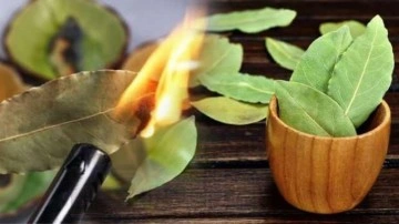 7 defne yaprağı yakmak ne işe yarar? Ada&ccedil;ayı ve defne yaprağı yakmak...