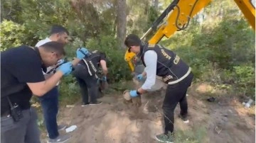 7 yıldır kayıp olan kadın cinayete kurban gitmiş