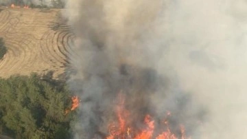 Adana'da orman yangını: 6 helikopter 2 uçak müdahale ediyor!