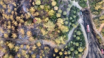 Adana'da ormanlık alanda yangın çıktı
