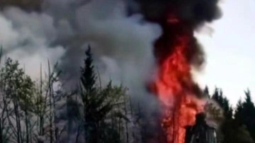 Ağaçlar alev topuna döndü, trafik durduruldu