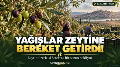 Gaziantep’te yağışlar zeytin üreticisine umut oldu