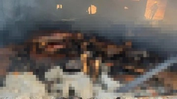 Ağılda çıkan yangında 42 küçükbaş telef oldu