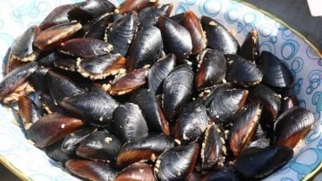 Aile faciası: Ortaköy'de midye yiyen 2 çocuk hayatını kaybetti, baba entübe edildi!