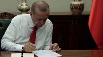 AK Parti Genel Başkan Yardımcısı &Ouml;zhaseki: Partimizin oy oranı y&uuml;zde 37 civarında ama artırırız