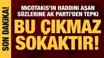 AK Parti S&ouml;zc&uuml;s&uuml; &Ccedil;elik'ten Yunanistan'a sert tepki