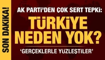 AK Parti S&ouml;zc&uuml;s&uuml; &Ouml;mer &Ccedil;elik'ten Avrupa Birliği'ne tepki: T&uuml;rkiye neden yok?