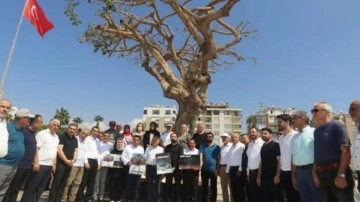 AK Parti'den CHP'ye asırlık ağa&ccedil; tepkisi!