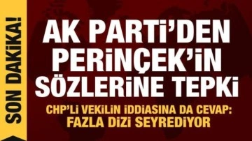 AK Parti'den Doğu Perin&ccedil;ek'in s&ouml;zlerine tepki: Haddini bilmezlik