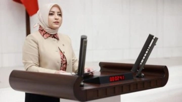 AK Parti'li Atabek: RT&Uuml;K'&uuml;n kırmızı &ccedil;izgileri bellidir