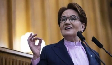 Akşener, Almanya Federal Meclisi Başkan Yardımcısı ve b&uuml;y&uuml;kel&ccedil;i ile g&ouml;r&uuml;şt&uuml;