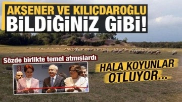 Akşener ve Kılı&ccedil;daroğlu s&ouml;zde birlikte temel atmışlardı, hala koyunlar otluyor!