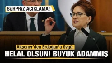 Akşener'den Başkan Erdoğan'a &ouml;vg&uuml;: Helal olsun b&uuml;y&uuml;k adammış