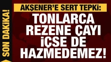 Akşener'e b&uuml;y&uuml;k tepki: Tonlarca rezene &ccedil;ayı i&ccedil;se de hazmedemez