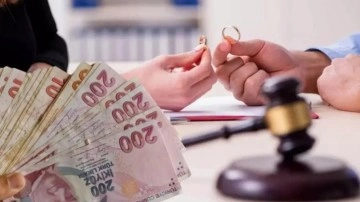 Ali Rıza Demircan'dan h&uuml;k&uuml;mete nafaka teklifi!