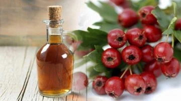 Alı&ccedil; sirkesinin faydaları nelerdir? Alı&ccedil; sirkesi nasıl t&uuml;ketilir?