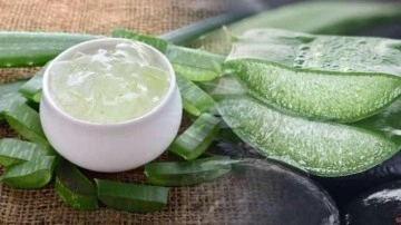 Aloe vera y&uuml;ze faydaları nelerdir? Aloe vera y&uuml;ze nasıl s&uuml;r&uuml;l&uuml;r?