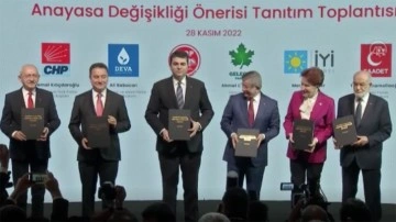 Altılı Masa'nın anayasa paketinde neler var? Kadına şiddet d&uuml;zenlemesine bakın
