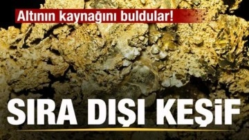 Altının kaynağını buldular! Sıra dışı keşif