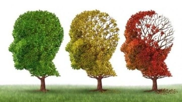 Alzheimer ile ilgili &ouml;nemli araştırma: Erken teşhis m&uuml;mk&uuml;n m&uuml;?