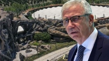 Ankapark&rsquo;ı enkaza &ccedil;evirdi şimdi sıra bakımsızlıktan kurumaya terk ettiği binlerce ağa&ccedil;ta!