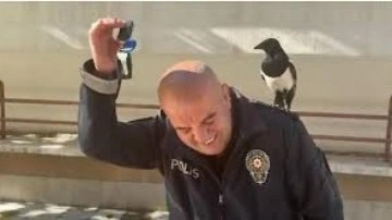 Ankara’da polis ile saksağanın güldüren dostluğu