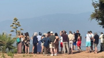 Antalya'da 30 yıl sonra ortaya çıktı! Turist akınına uğradı