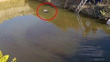 Antalya'da sır olay: Su dolu çukurdan kadın cesedi çıktı!