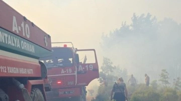 Antalya'da üç ayrı bölgede orman yangını! Biri kontrol altında
