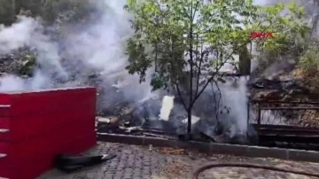 Antalya'dan sevindiren haber!