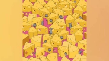 Ara, bul zeka testi: Deneyenlerin y&uuml;zde 80'i 9 saniyede zarı bulamadı! Zorlayıcı zeka testleri