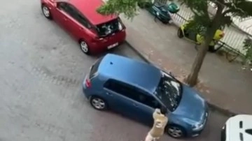 Arabaların aynalarını tekmeyle kırdı: Güvenlik görevlisini itti