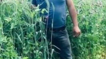 Arazi anlaşmazlığı meselesinde kan aktı: 1 ölü