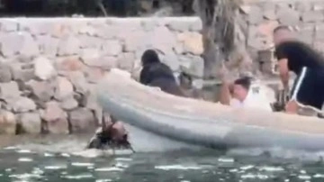 Arda Deniz Onat cinayeti! O caninin ifadesi ortaya çıktı: Kaç defa vurdum hatırlamıyorum