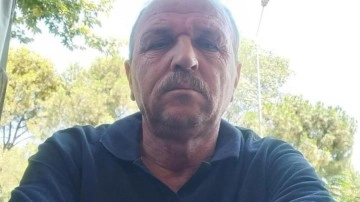 Arı sokması sonucu fenalaşan kişi hayatını kaybetti