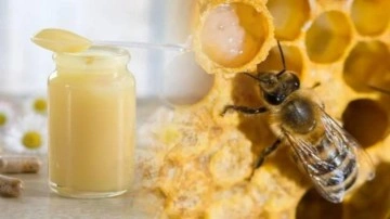 Arı s&uuml;t&uuml; nedir, faydaları nelerdir? Arı s&uuml;t&uuml; nasıl kullanılır?