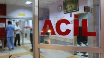 Arının soktuğu kadın hayatını kaybetti